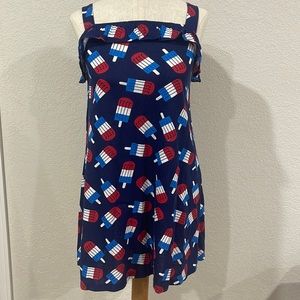 Girls patriot 4th of July Dress size 10/12